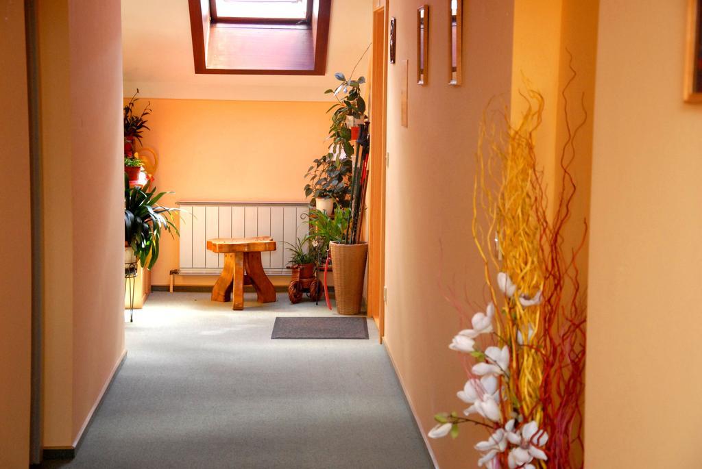 Miesenbach  Fruehstueckspension Wiesenhaus المظهر الخارجي الصورة